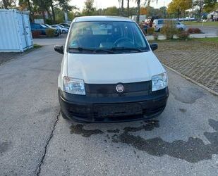 Fiat Panda Gebrauchtwagen