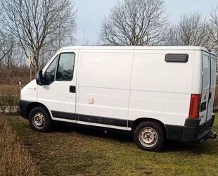 Fiat Ducato Gebrauchtwagen
