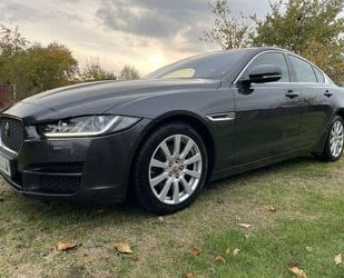 Jaguar XE Gebrauchtwagen