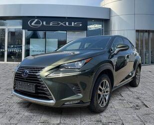 Lexus NX 300 Gebrauchtwagen