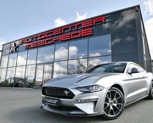Ford Mustang Gebrauchtwagen