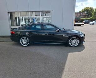 Jaguar XF Gebrauchtwagen