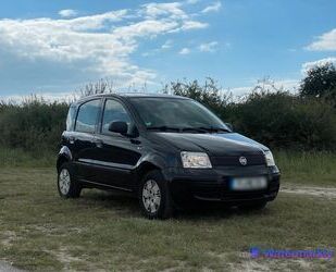 Fiat Panda Gebrauchtwagen