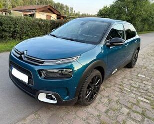 Citroen C4 Cactus Gebrauchtwagen