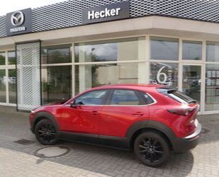 Mazda CX-30 Gebrauchtwagen