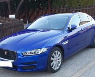 Jaguar XE Gebrauchtwagen