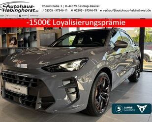 Cupra Terramar Gebrauchtwagen