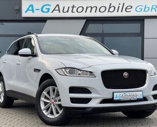 Jaguar F-Pace Gebrauchtwagen