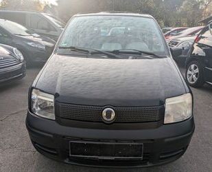Fiat Panda Gebrauchtwagen