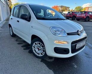 Fiat Panda Gebrauchtwagen