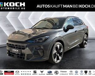 Cupra Terramar Gebrauchtwagen