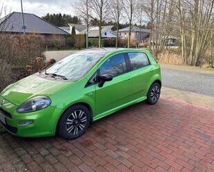 Fiat Punto Gebrauchtwagen