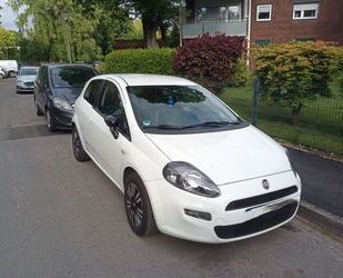 Fiat Punto Evo Gebrauchtwagen