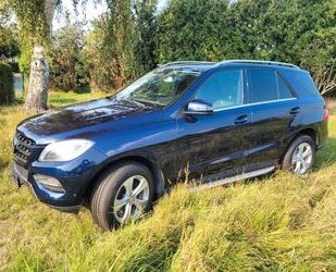 Mercedes-Benz ML 350 Gebrauchtwagen