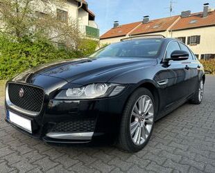 Jaguar XF Gebrauchtwagen