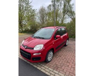 Fiat Panda Gebrauchtwagen