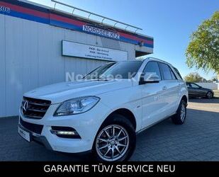 Mercedes-Benz ML 250 Gebrauchtwagen