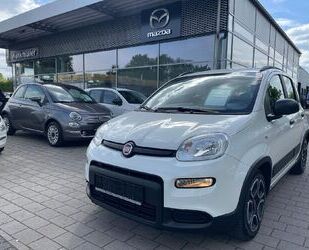 Fiat Panda Gebrauchtwagen