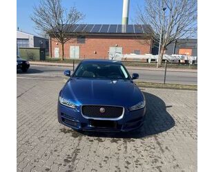 Jaguar XE Gebrauchtwagen