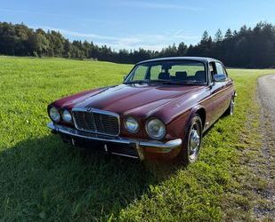 Jaguar XJ6 Gebrauchtwagen
