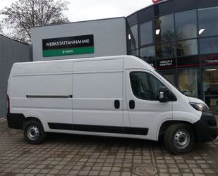 Fiat Ducato Gebrauchtwagen