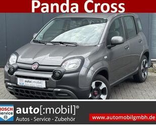 Fiat Panda Gebrauchtwagen