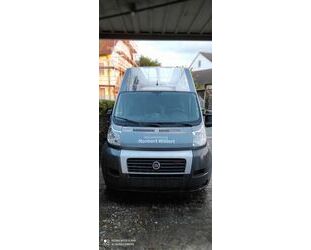 Fiat Ducato Gebrauchtwagen