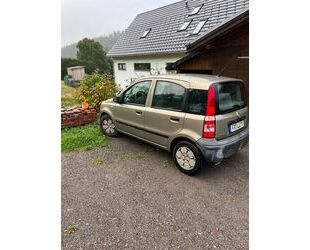Fiat Panda Gebrauchtwagen