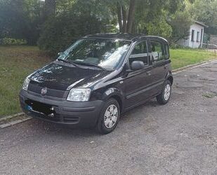 Fiat Panda Gebrauchtwagen