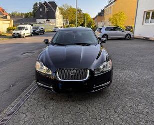Jaguar XF Gebrauchtwagen