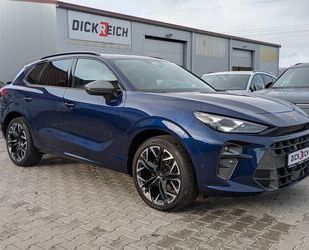 Cupra Terramar Gebrauchtwagen