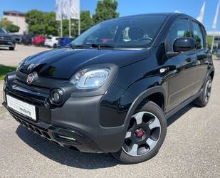 Fiat Panda Gebrauchtwagen