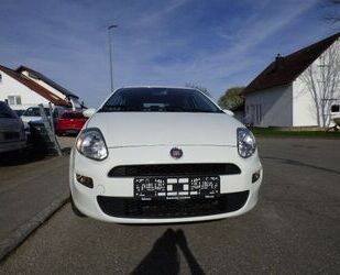 Fiat Punto Gebrauchtwagen