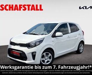 Kia Picanto Gebrauchtwagen