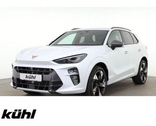 Cupra Terramar Gebrauchtwagen