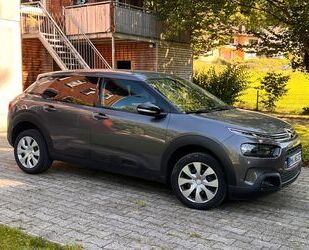 Citroen C4 Cactus Gebrauchtwagen