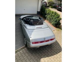 Alfa Romeo Spider Gebrauchtwagen