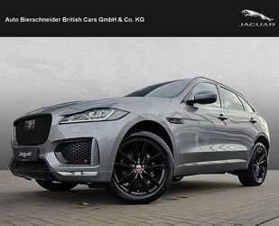 Jaguar F-Pace Gebrauchtwagen