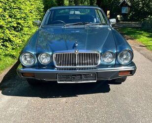 Jaguar XJ6 Gebrauchtwagen