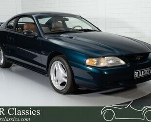 Ford Mustang Gebrauchtwagen