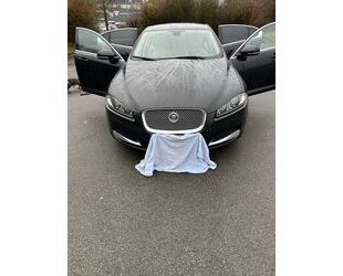 Jaguar XF Gebrauchtwagen