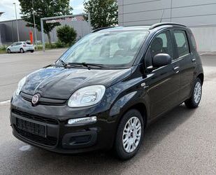 Fiat Panda Gebrauchtwagen