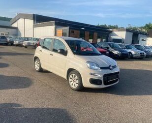 Fiat Panda Gebrauchtwagen