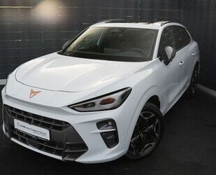 Cupra Terramar Gebrauchtwagen