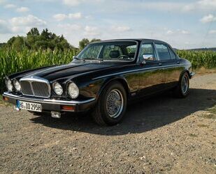 Jaguar Daimler Gebrauchtwagen