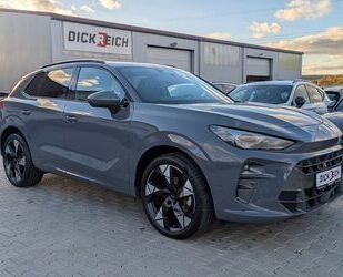 Cupra Terramar Gebrauchtwagen