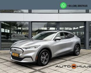 Ford Mustang Mach-E Gebrauchtwagen