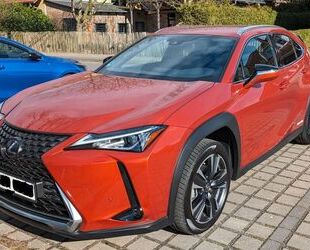 Lexus UX Gebrauchtwagen
