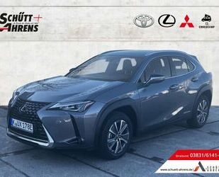 Lexus UX Gebrauchtwagen
