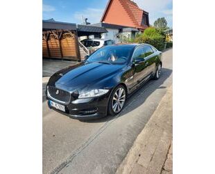 Jaguar XJ Gebrauchtwagen